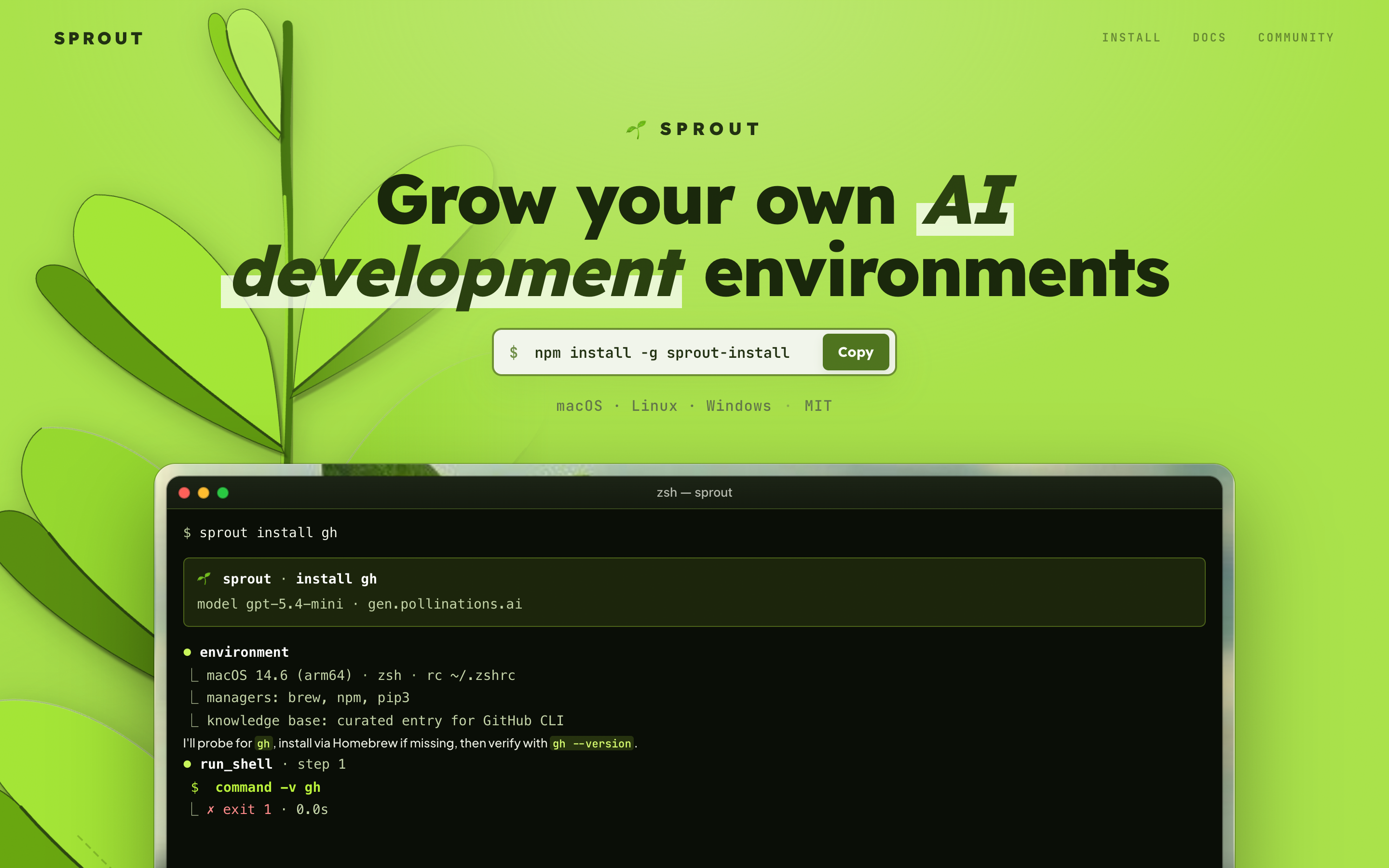 Sprout CLI install doctor preview